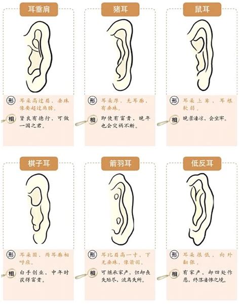 耳型 面相|从耳朵看面相｜5点耳朵形状及特征，一窥性格与运